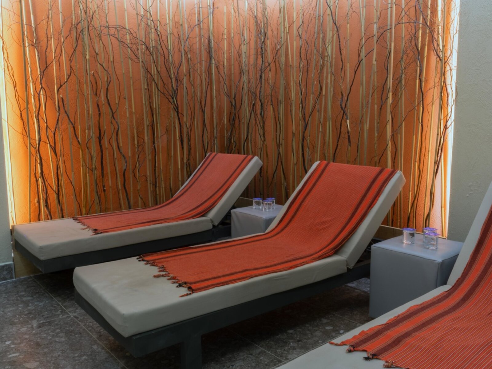 Wellness