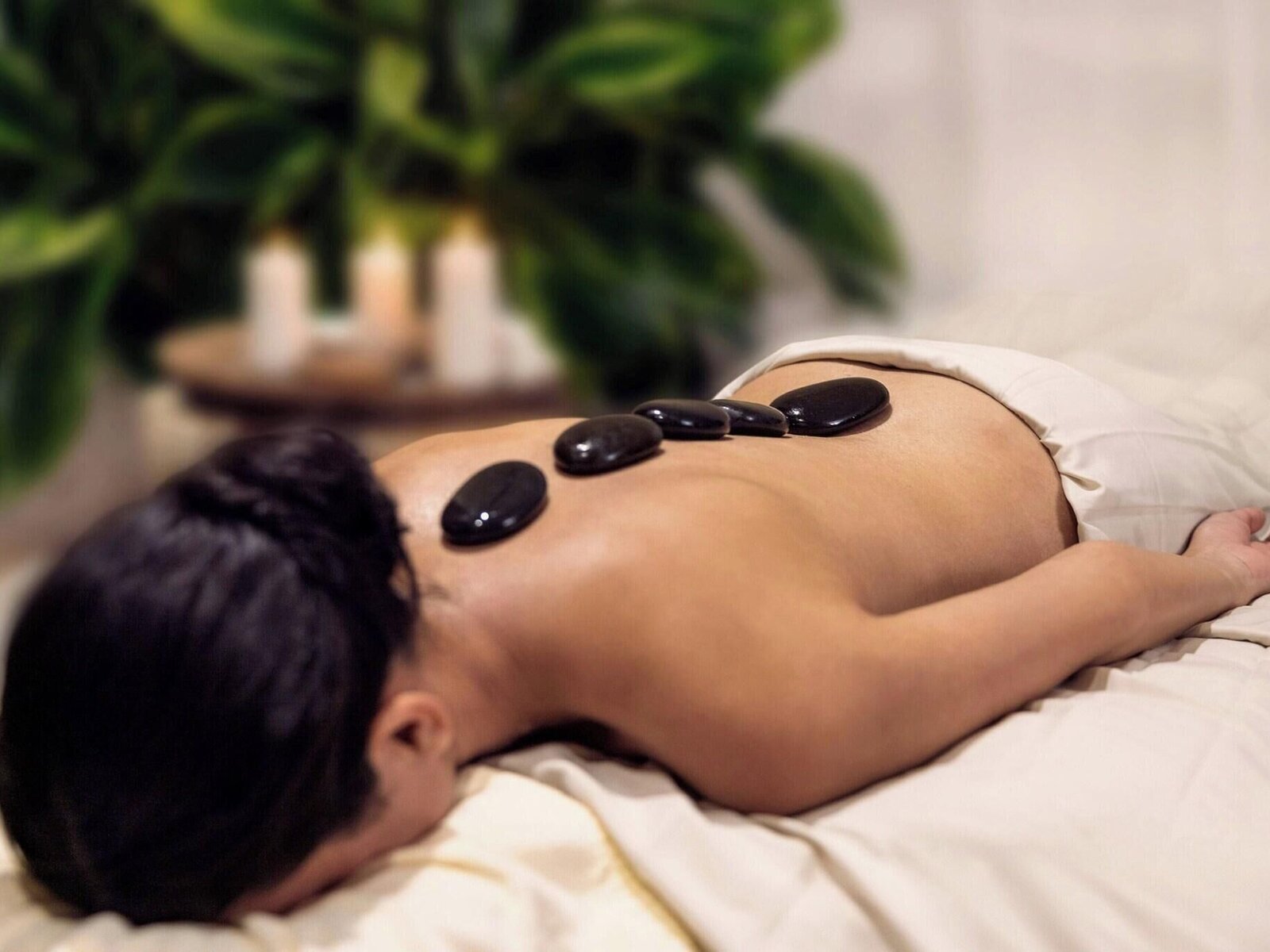 Wellness
