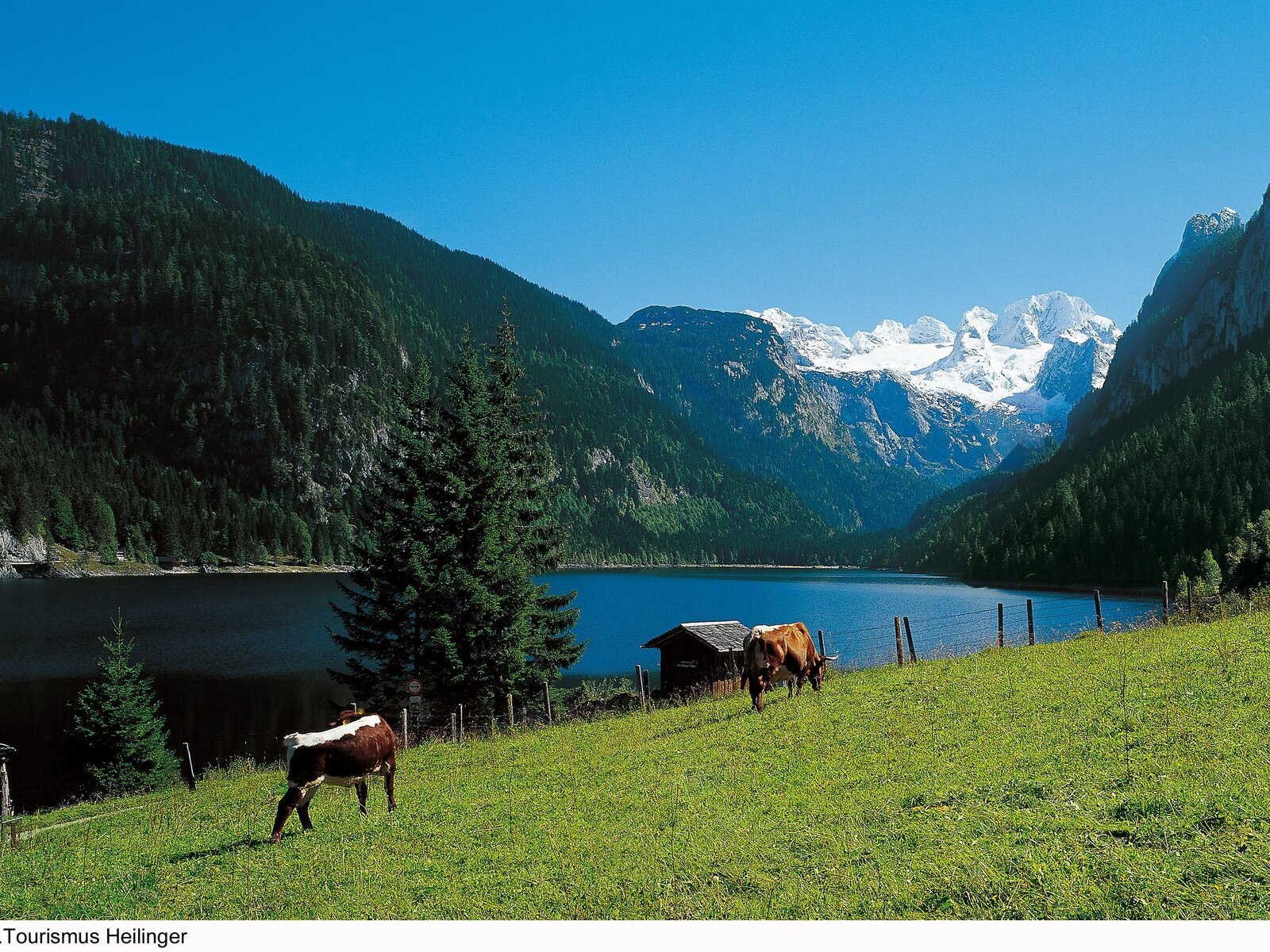 Landschaft