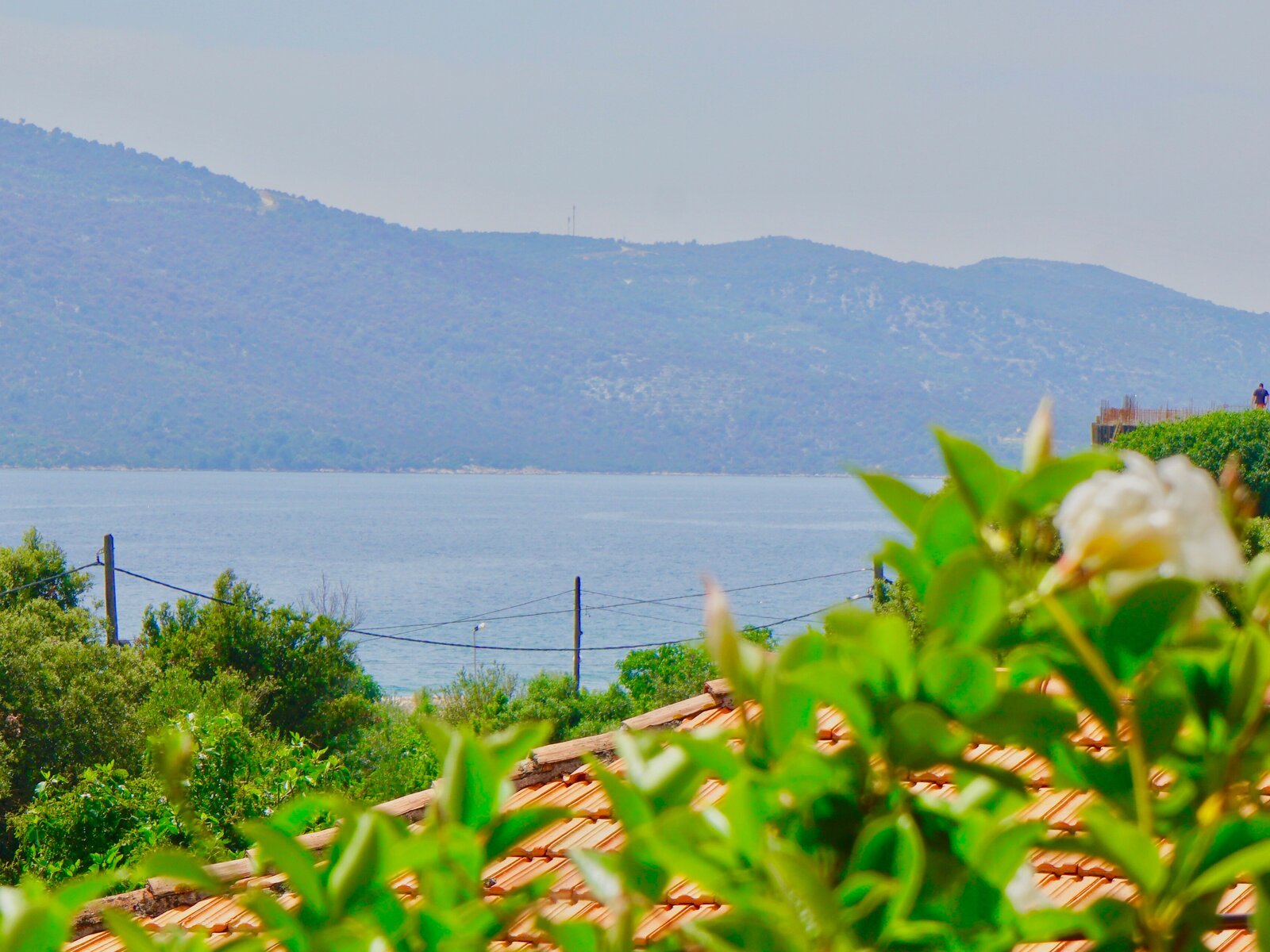 Landschaft