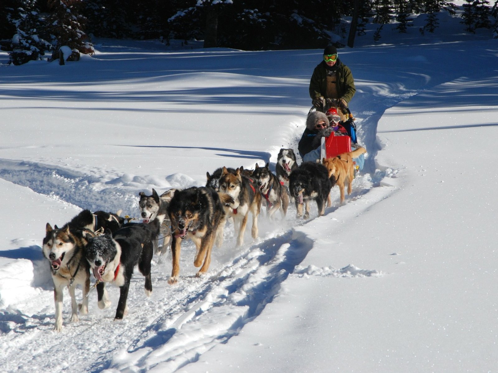 Wintersport