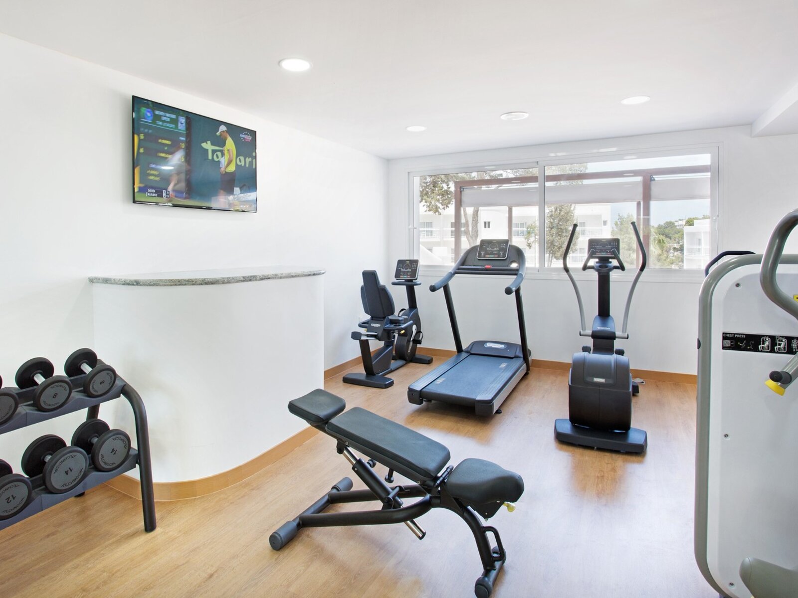 Sport