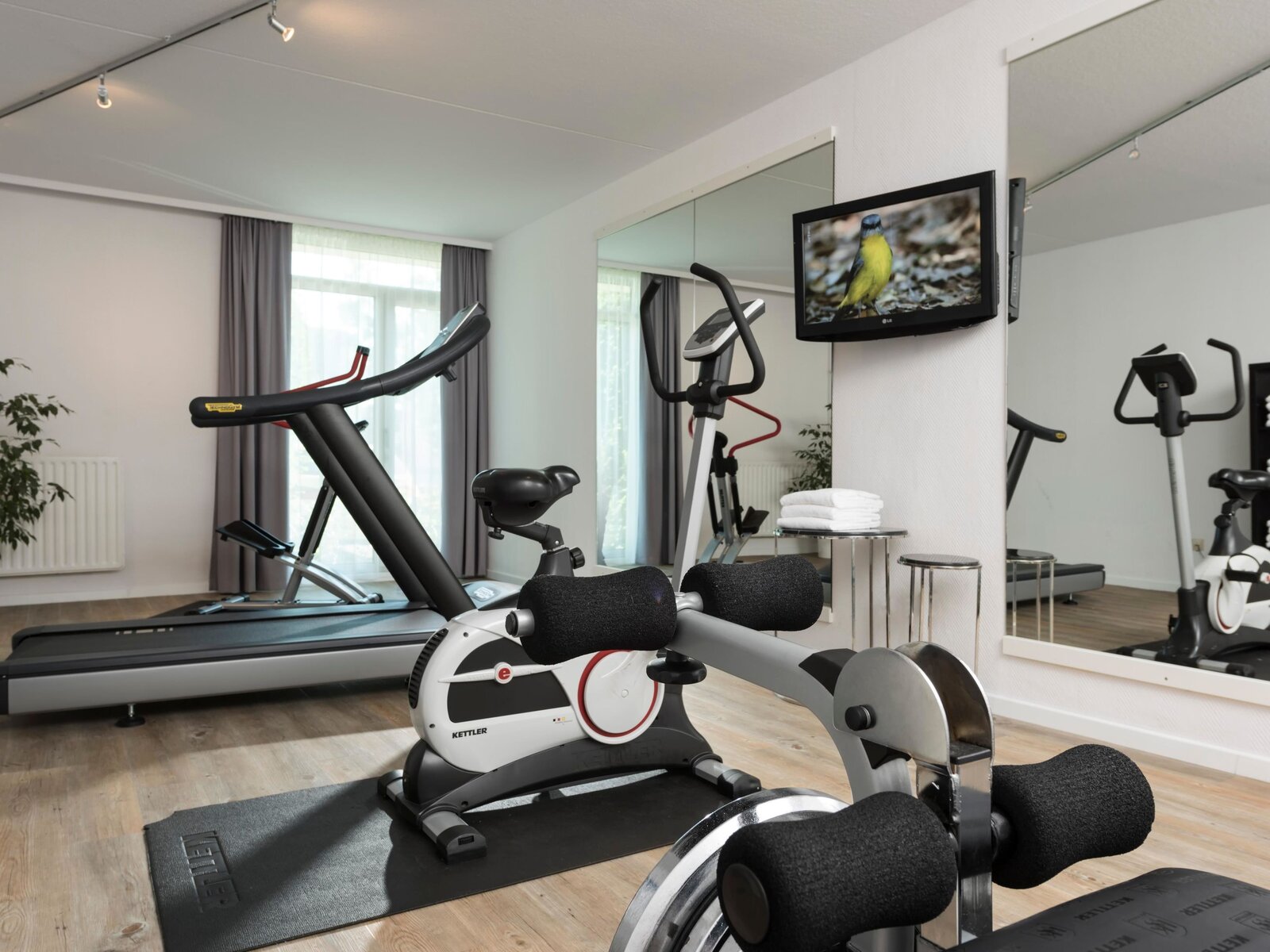 Sport