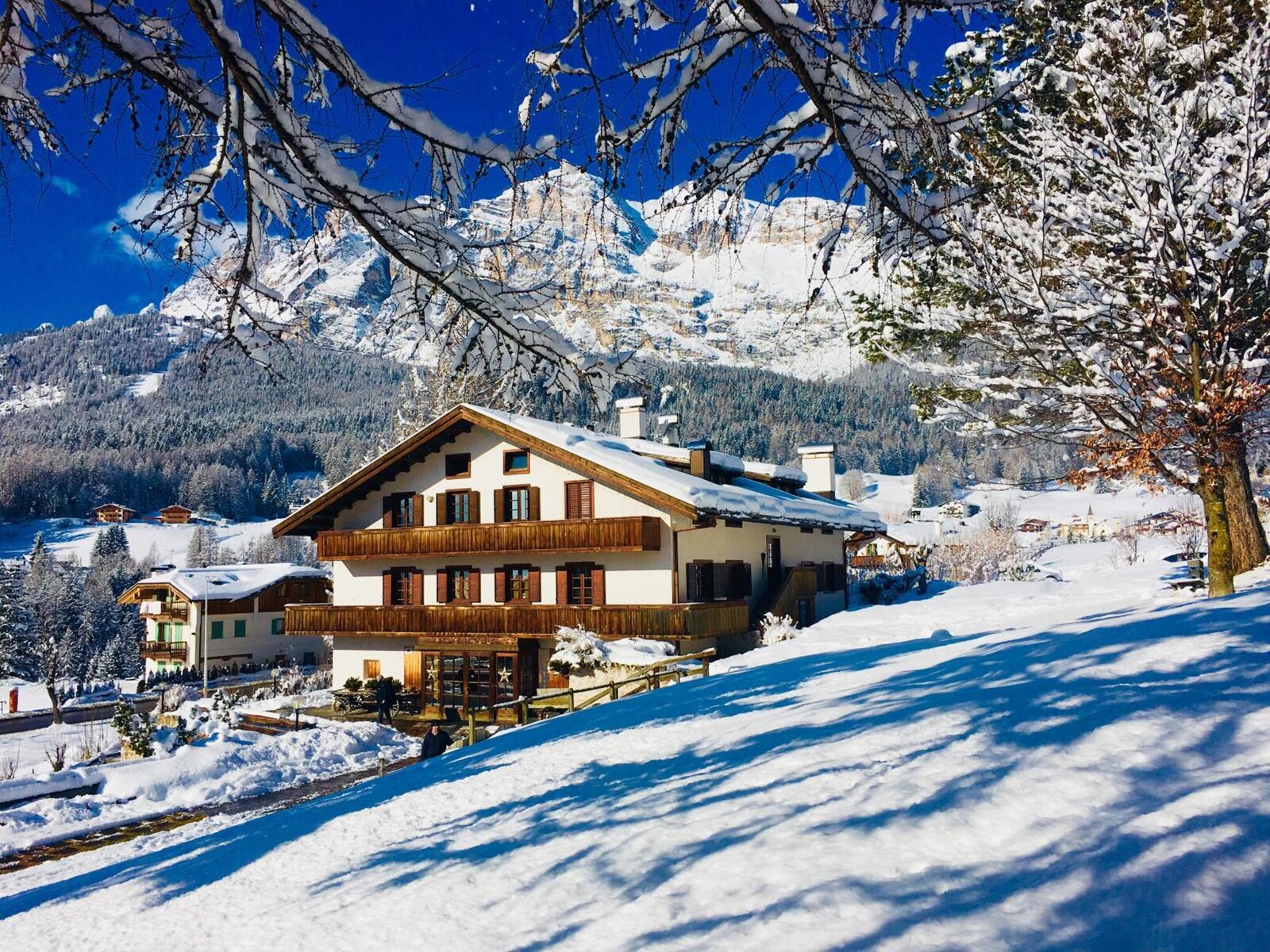 Hotel Hotel Menardi in Cortina d'Ampezzo günstig buchen bei TUI.ch