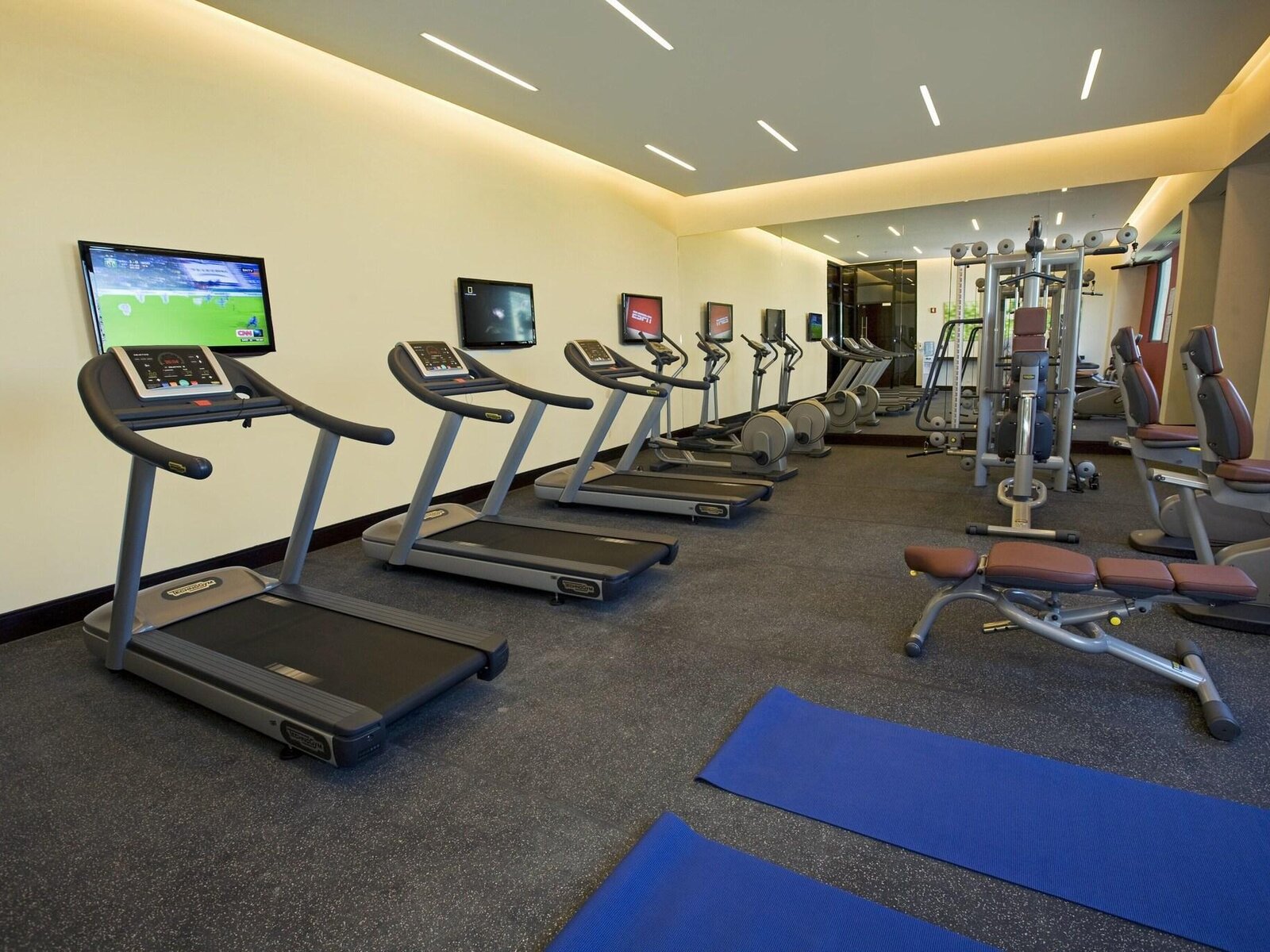 Sport