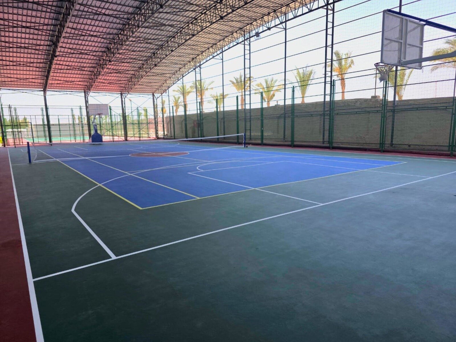 Sport