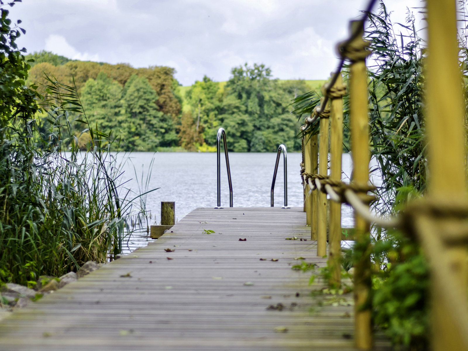 Haussee