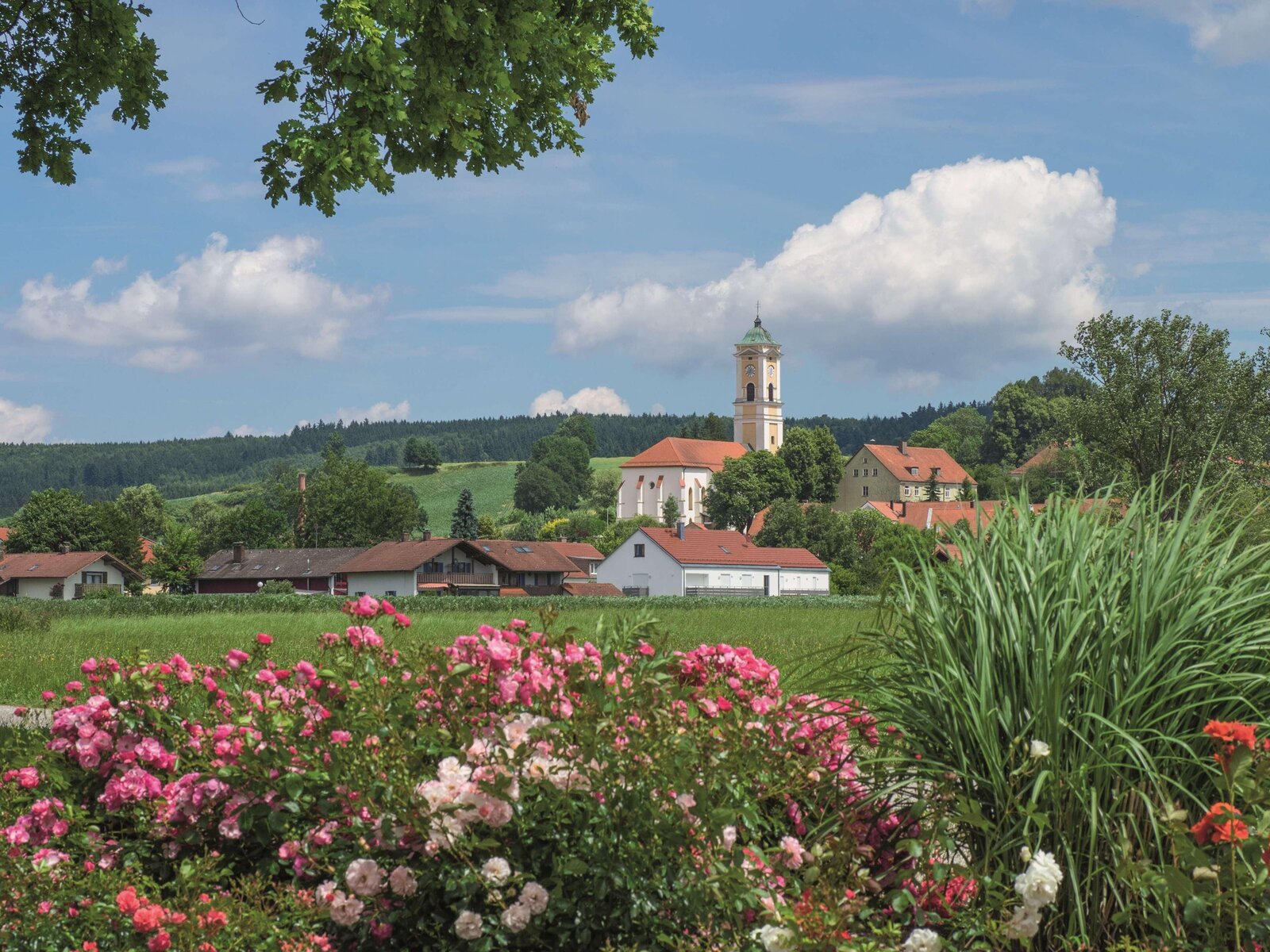 Landschaft