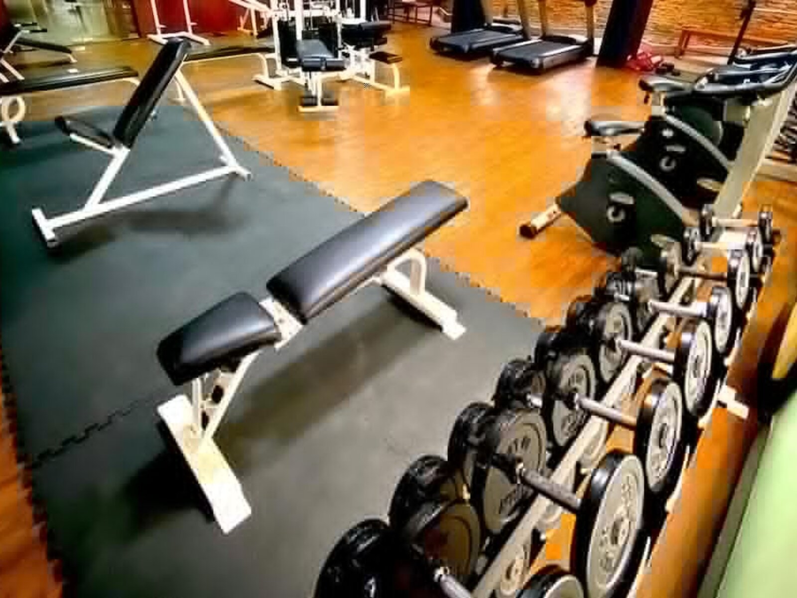 Sport
