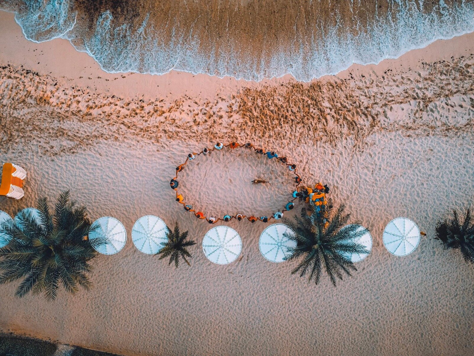 Damfjord Beach Bar