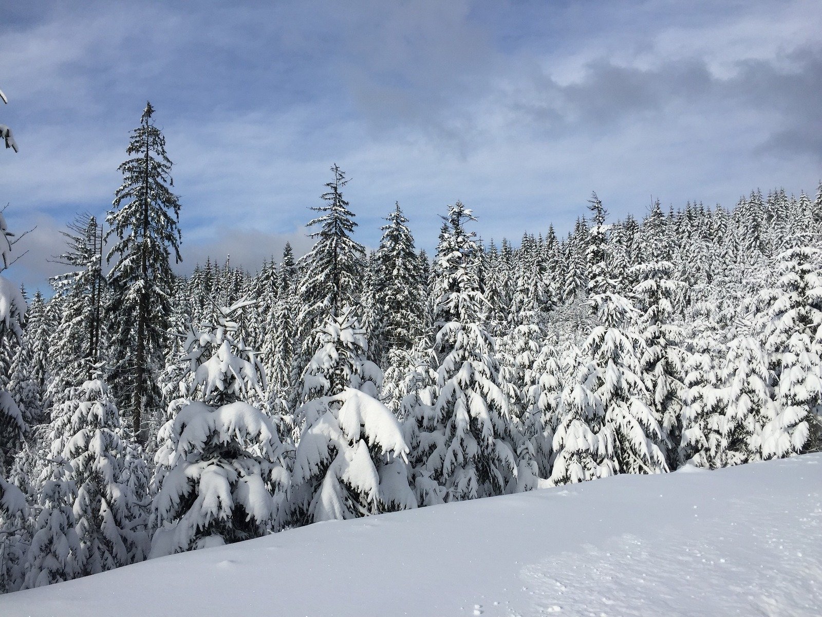 Wintersport
