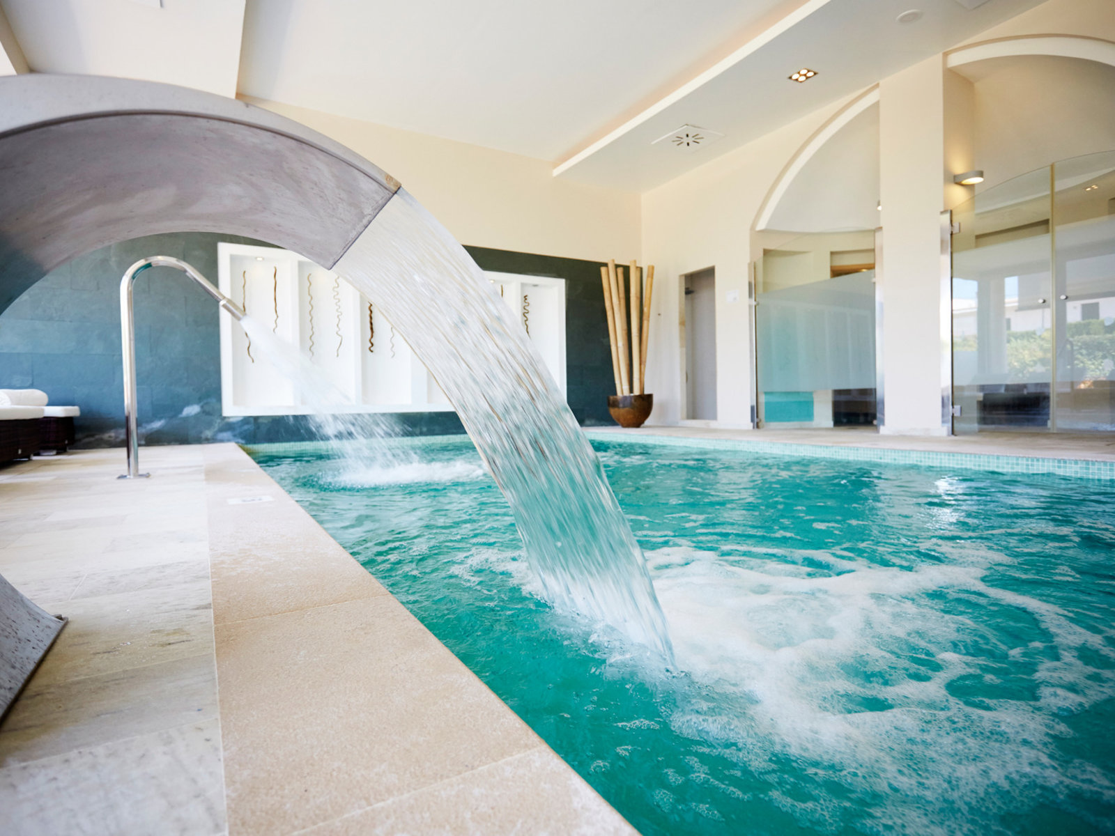 Wellness