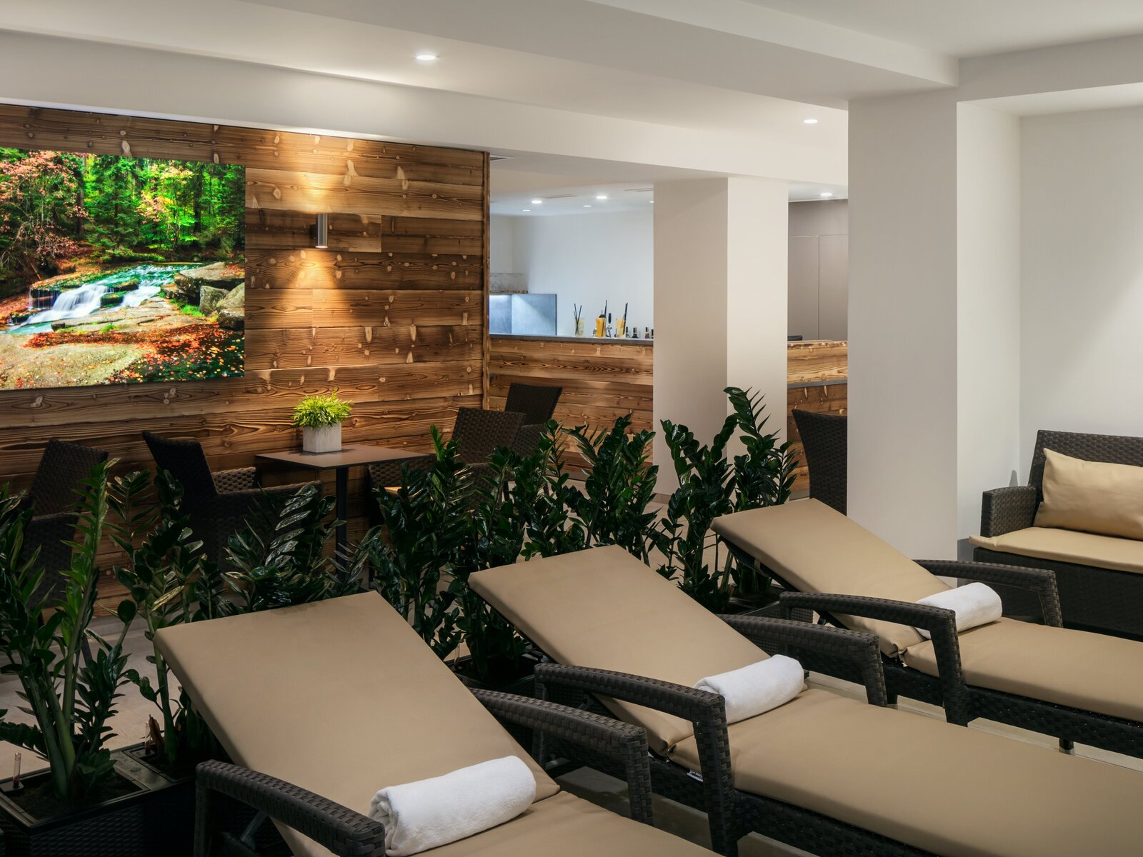 Wellness