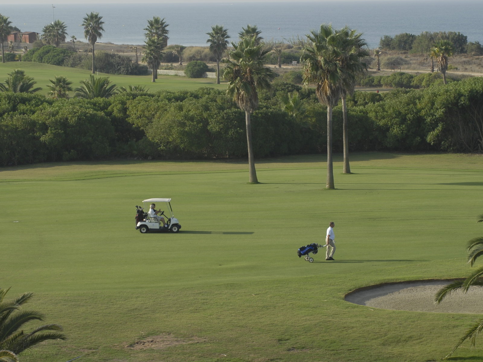 Golf