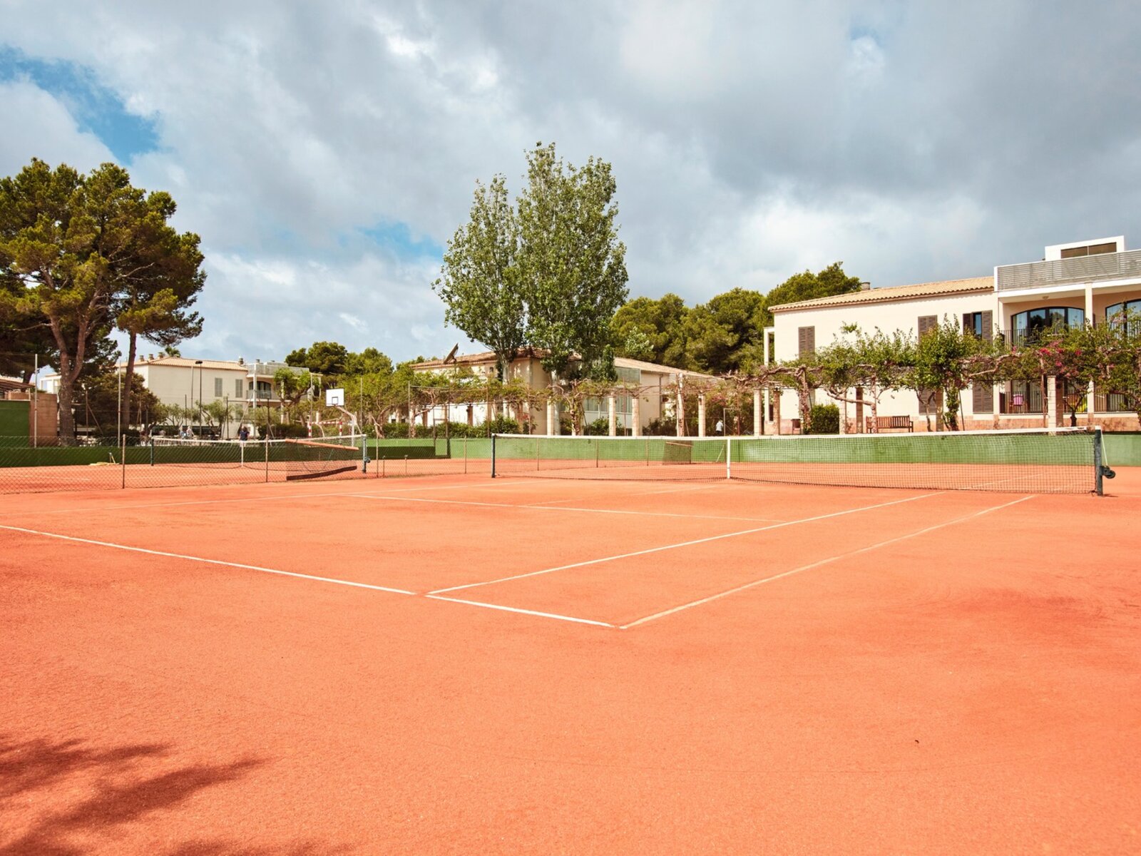 Sport