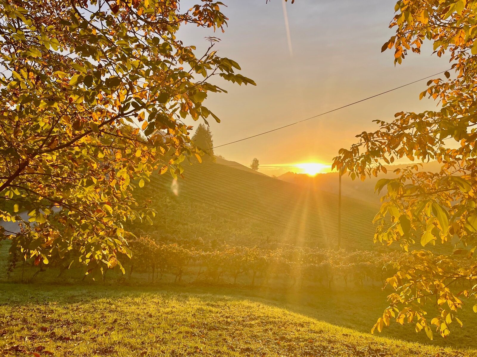 Landschaft