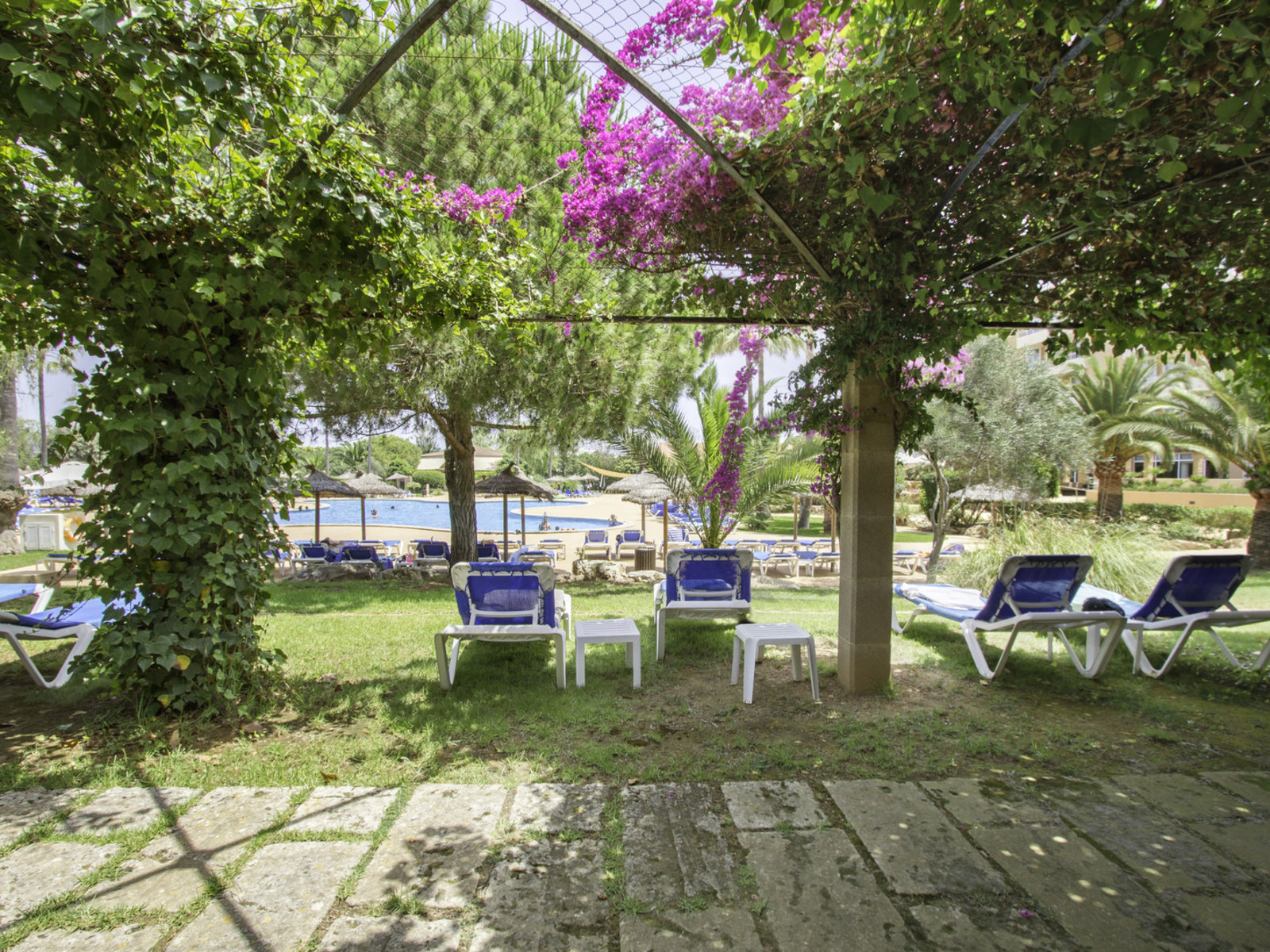 Piscina Exterior