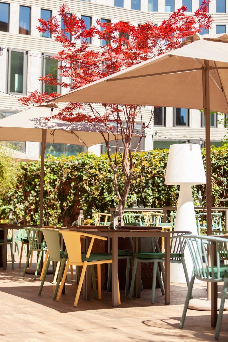 Outdoor Terrace​