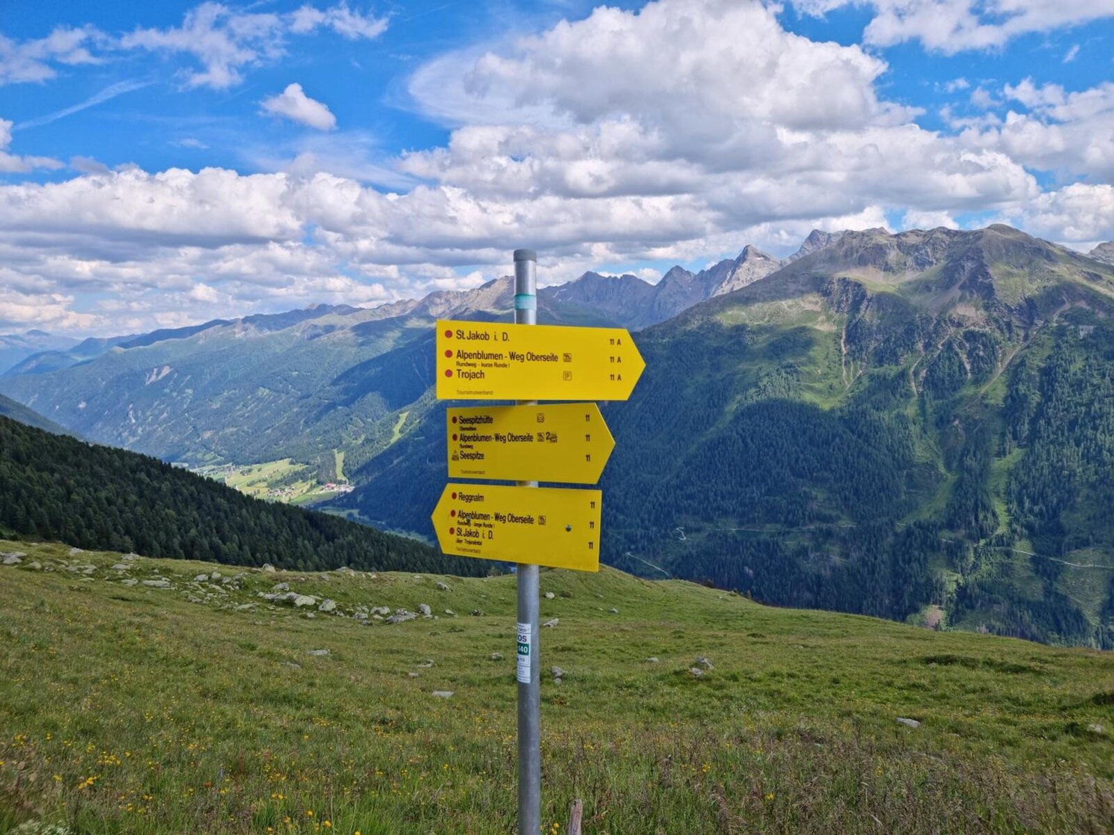 Landschaft