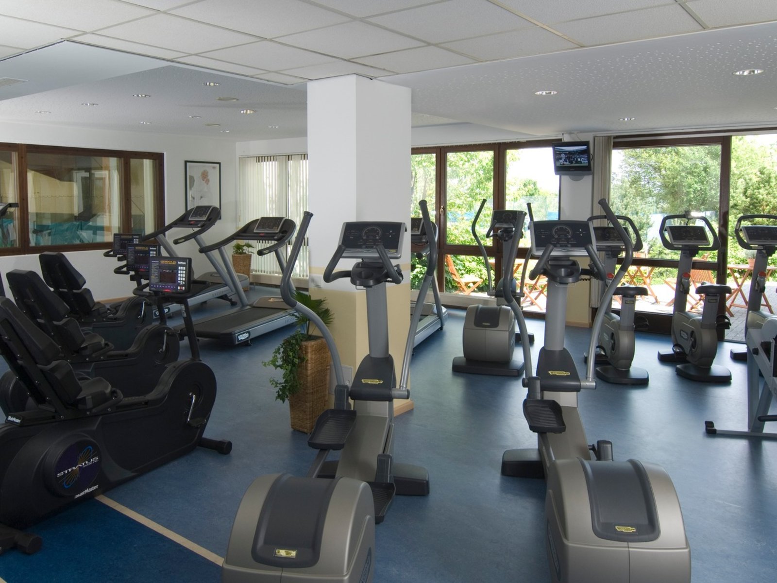 Sport