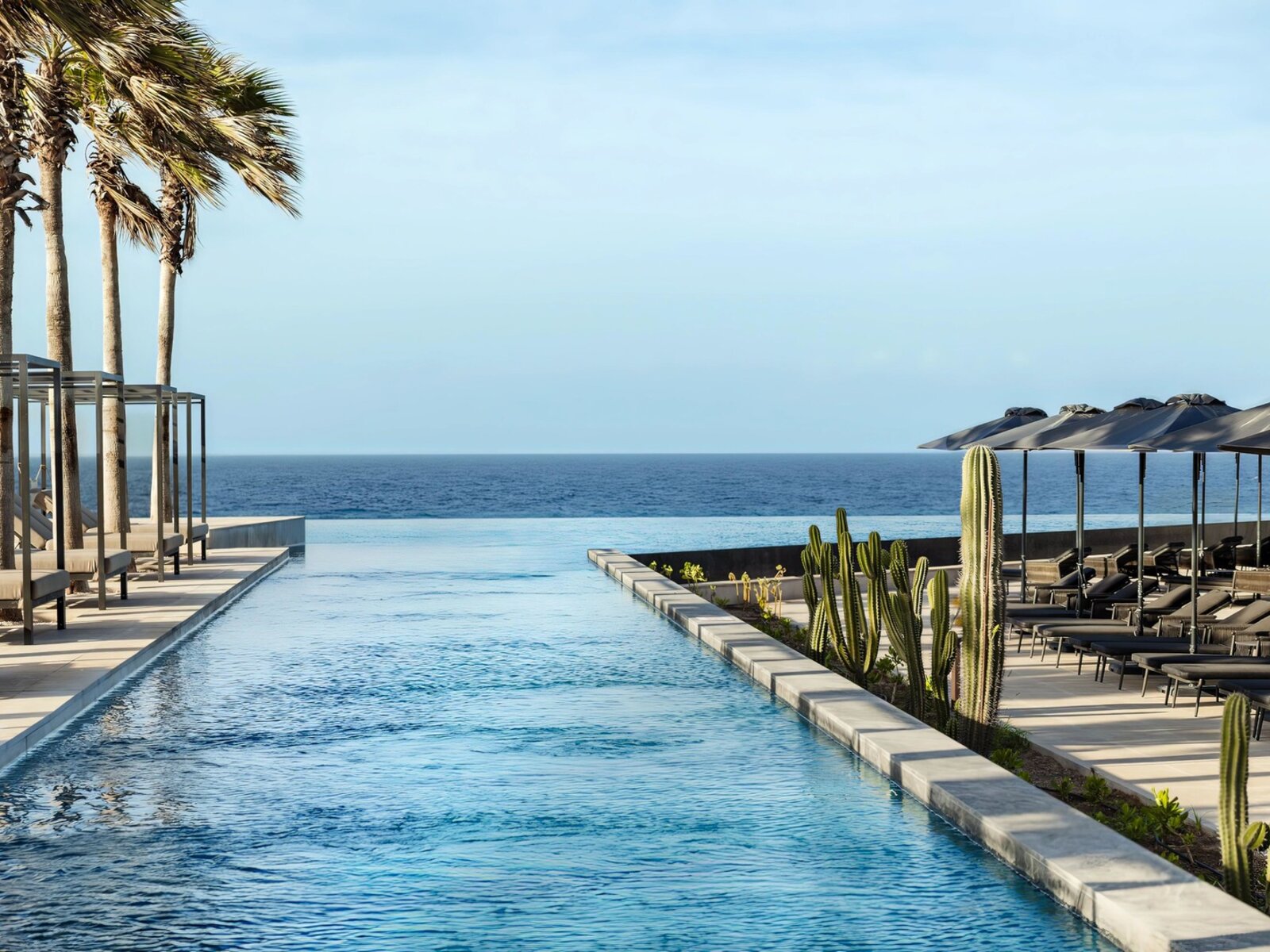 Infinity Pool