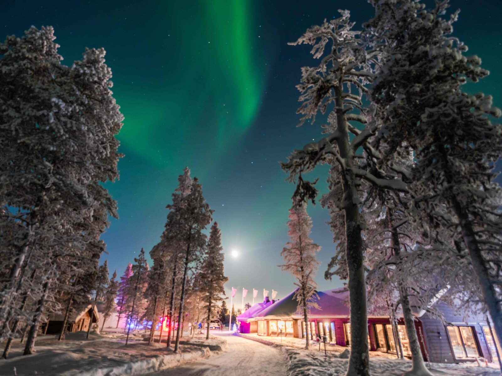 Hotel Northern Lights Village Saariselkä in Saariselka günstig buchen