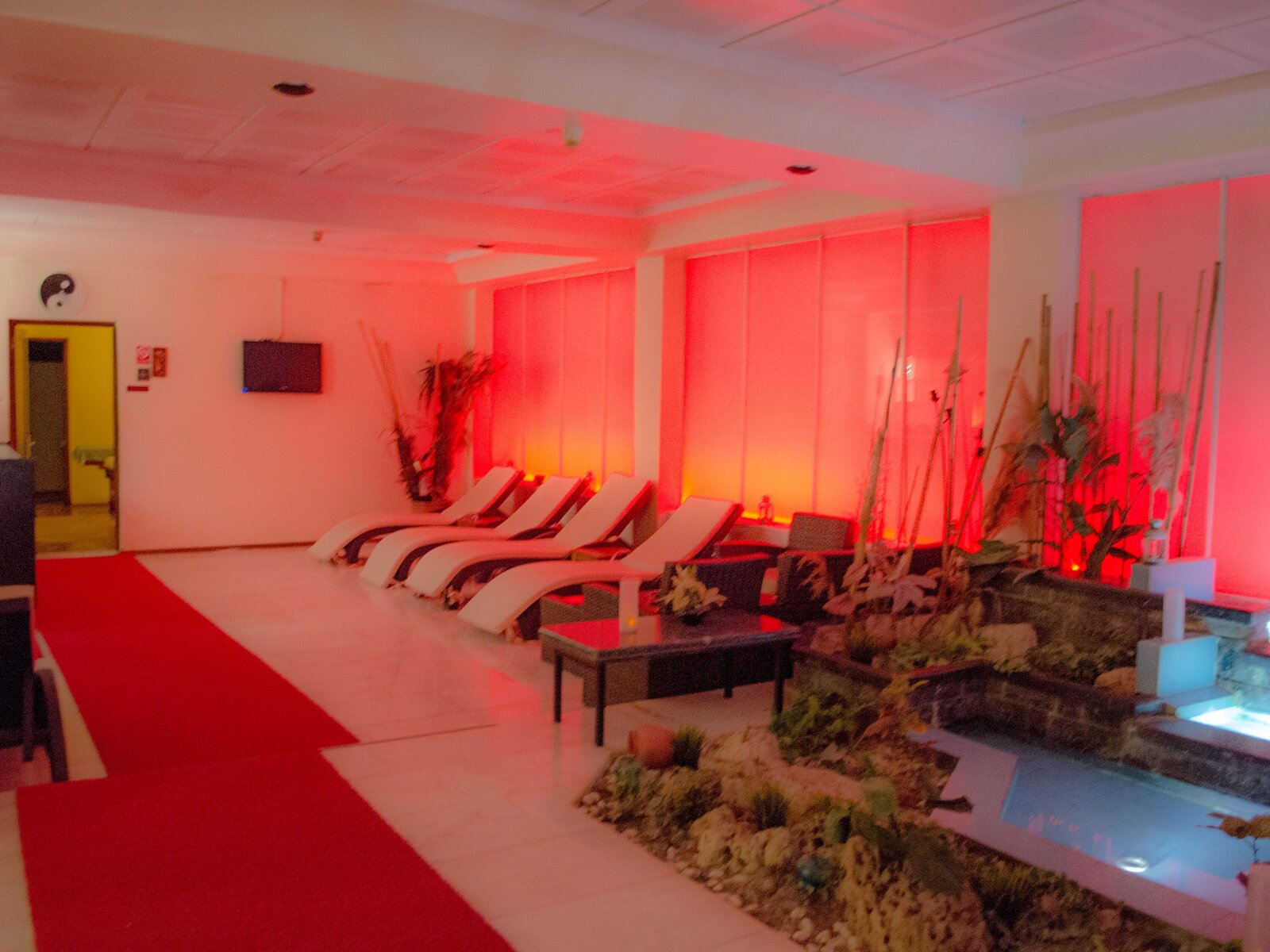 Wellness