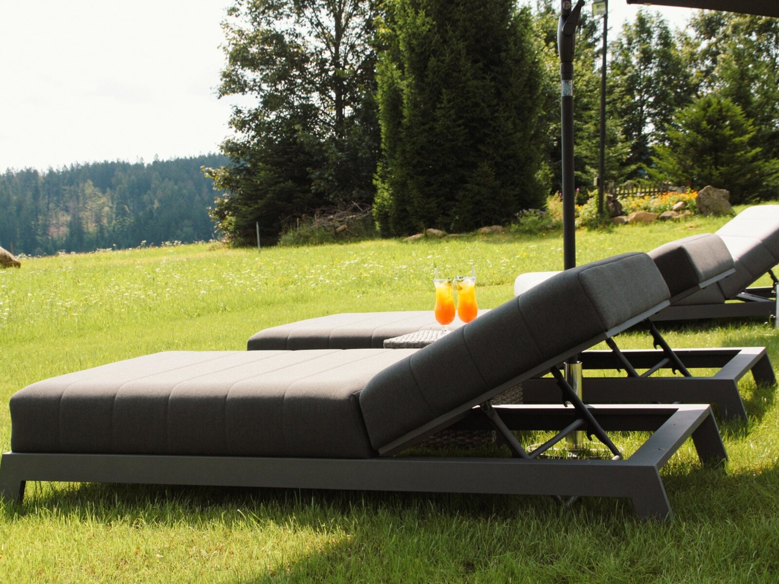 Wellness