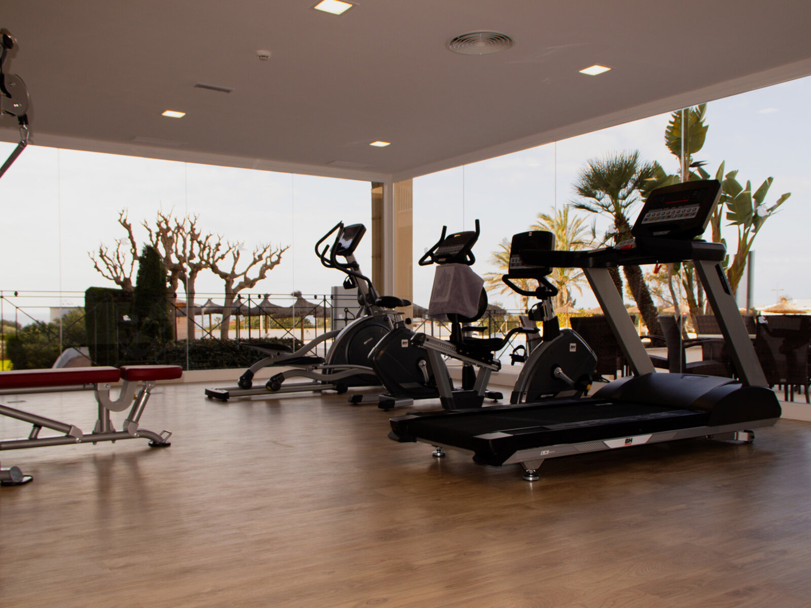 Sport