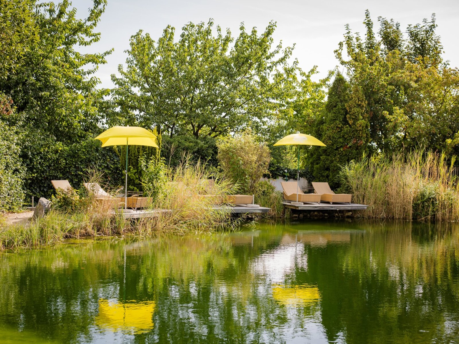 Naturschwimmteich