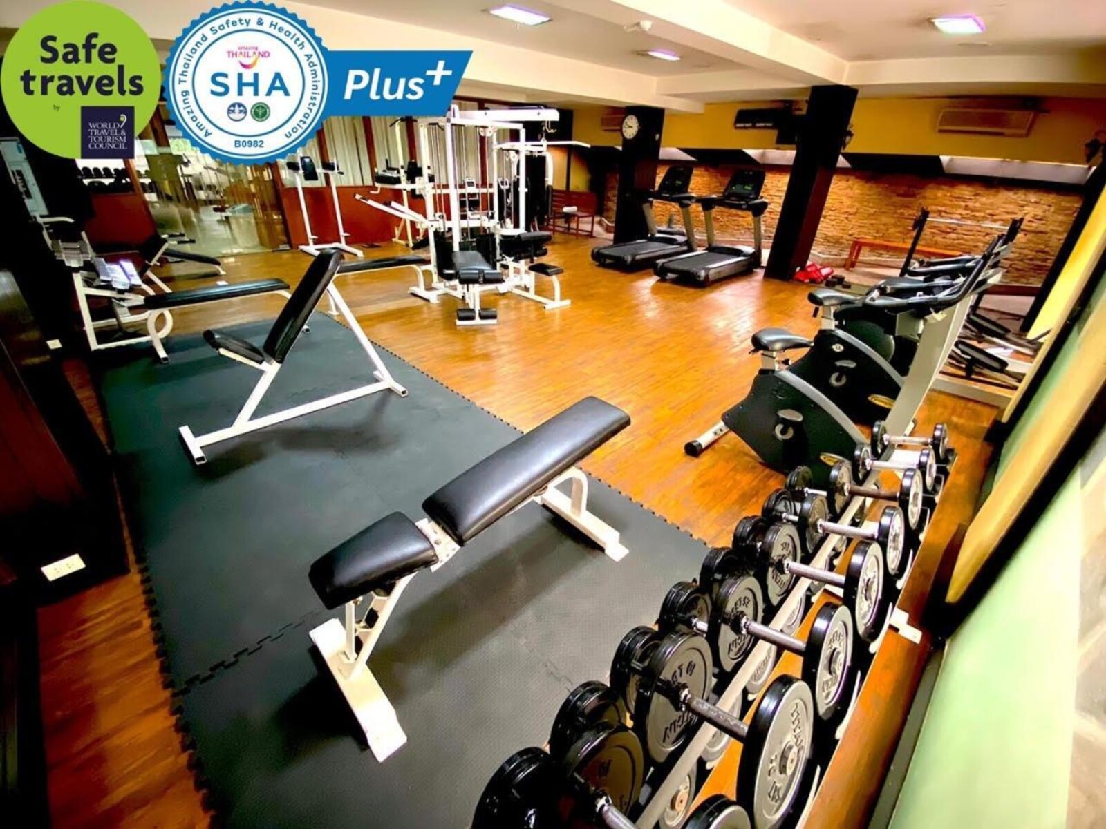 Sport