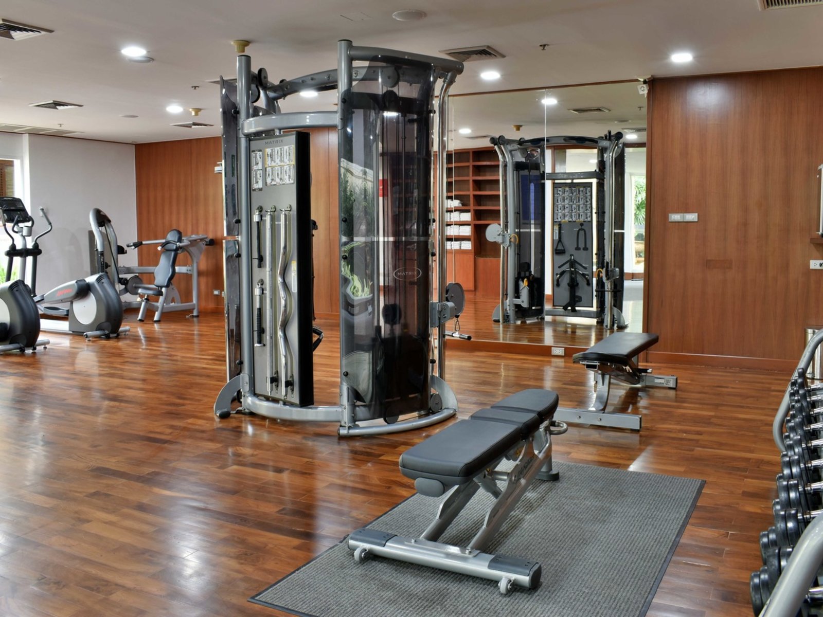 Sport