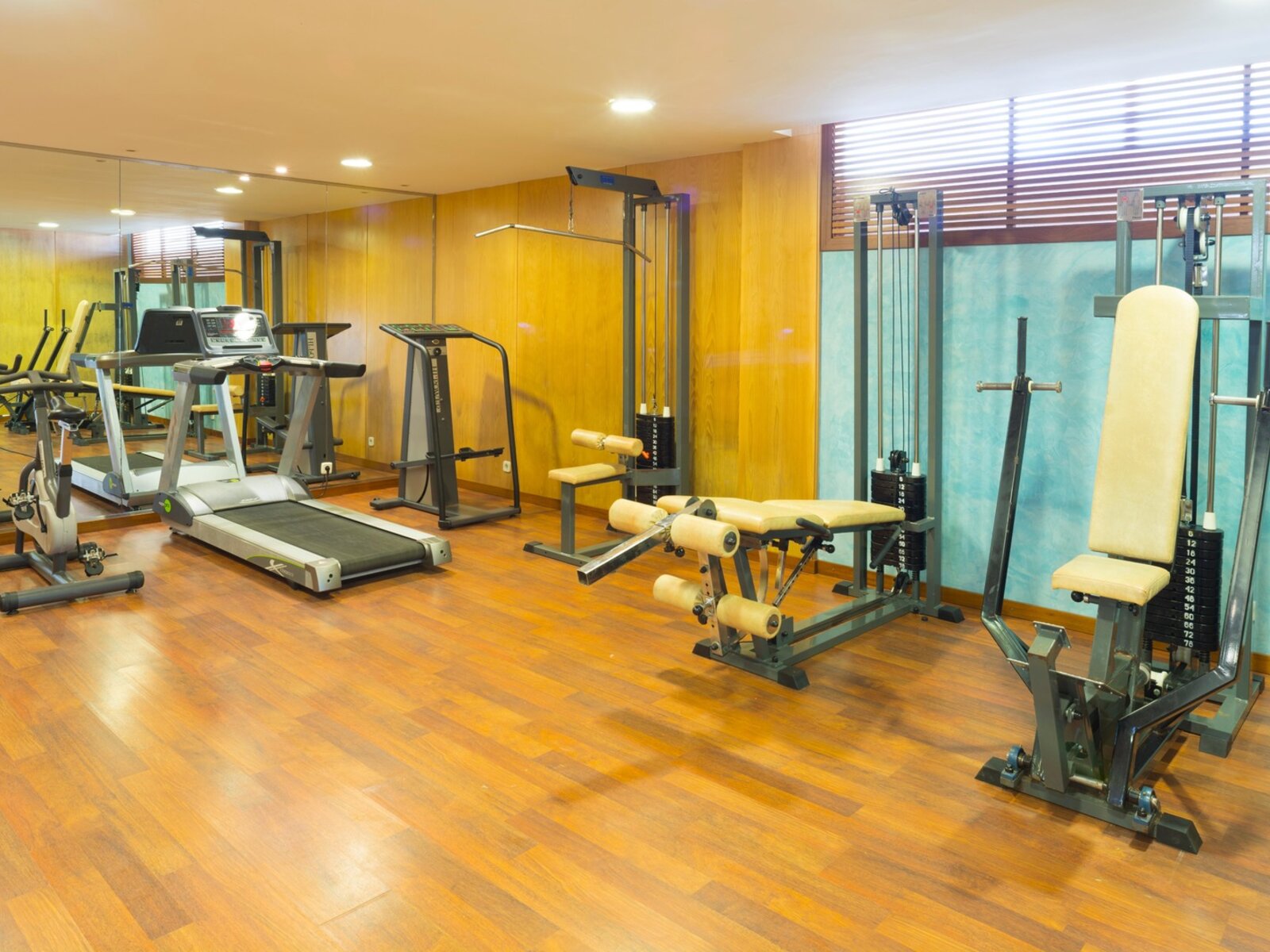 Sport