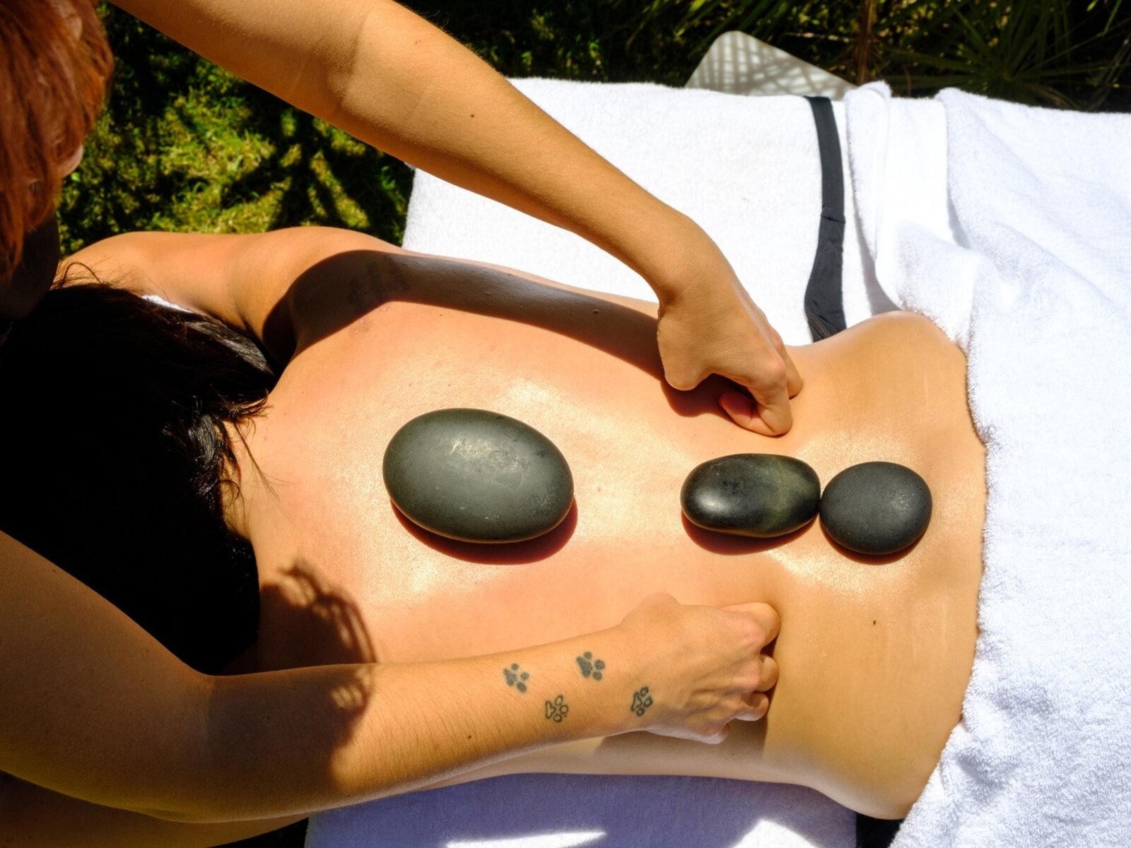 Wellness