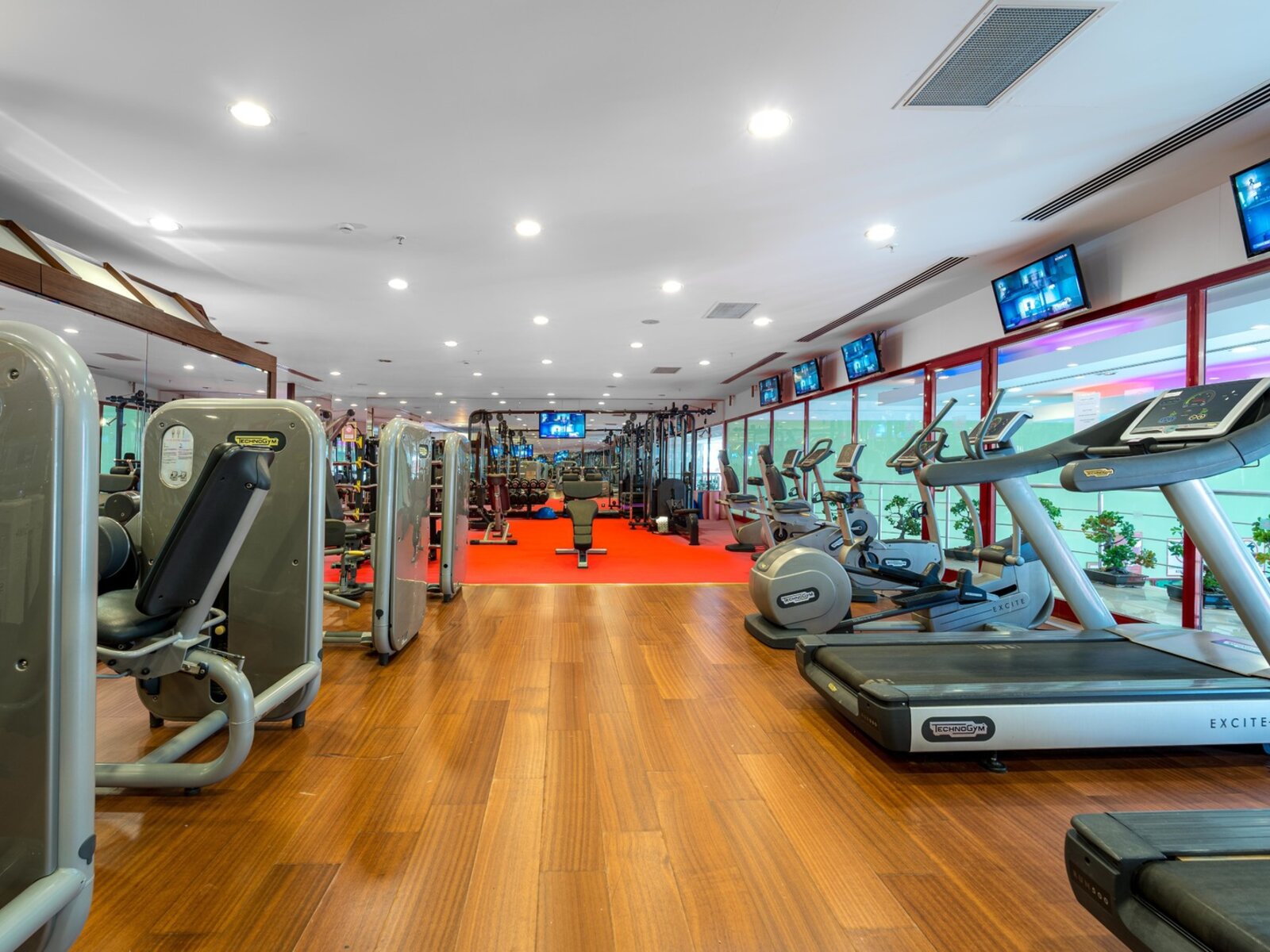 Sport