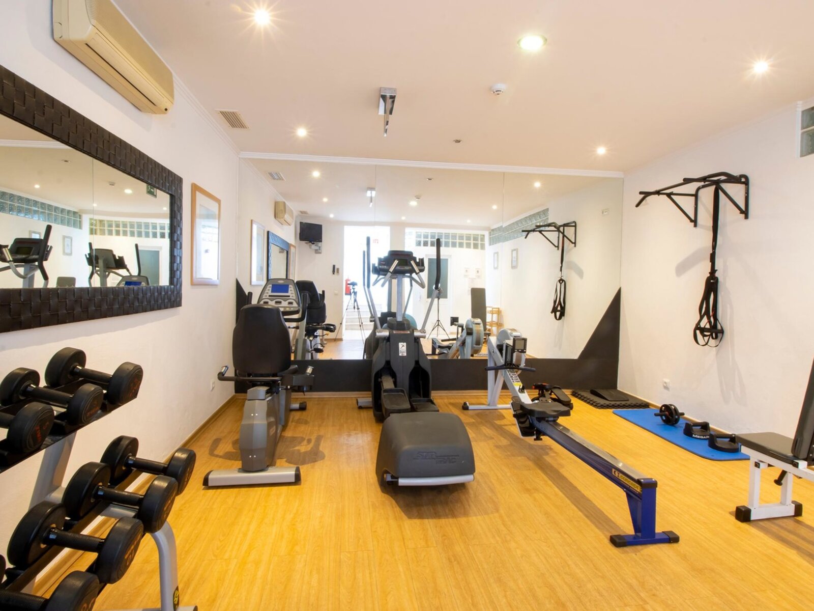 Sport