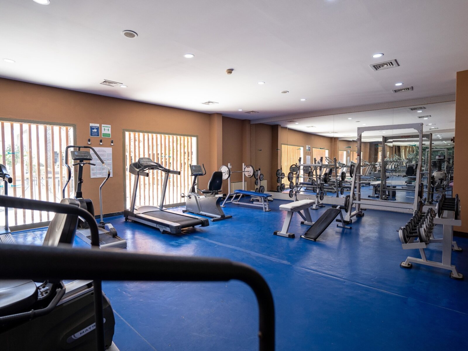 Sport