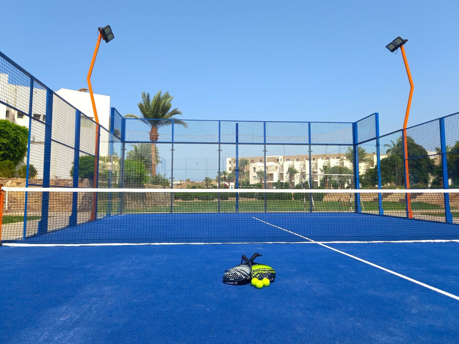 Sport