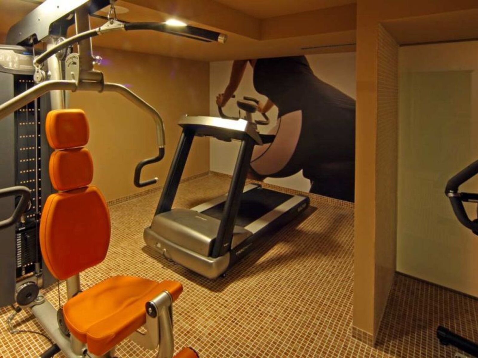 Sport