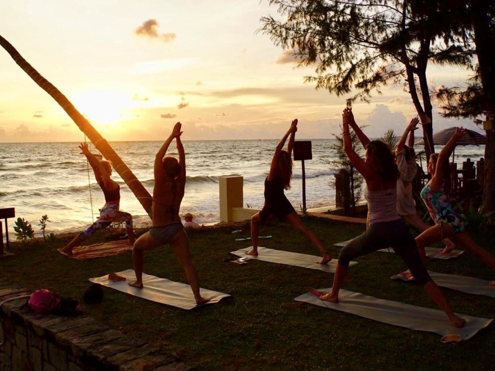 Wellness