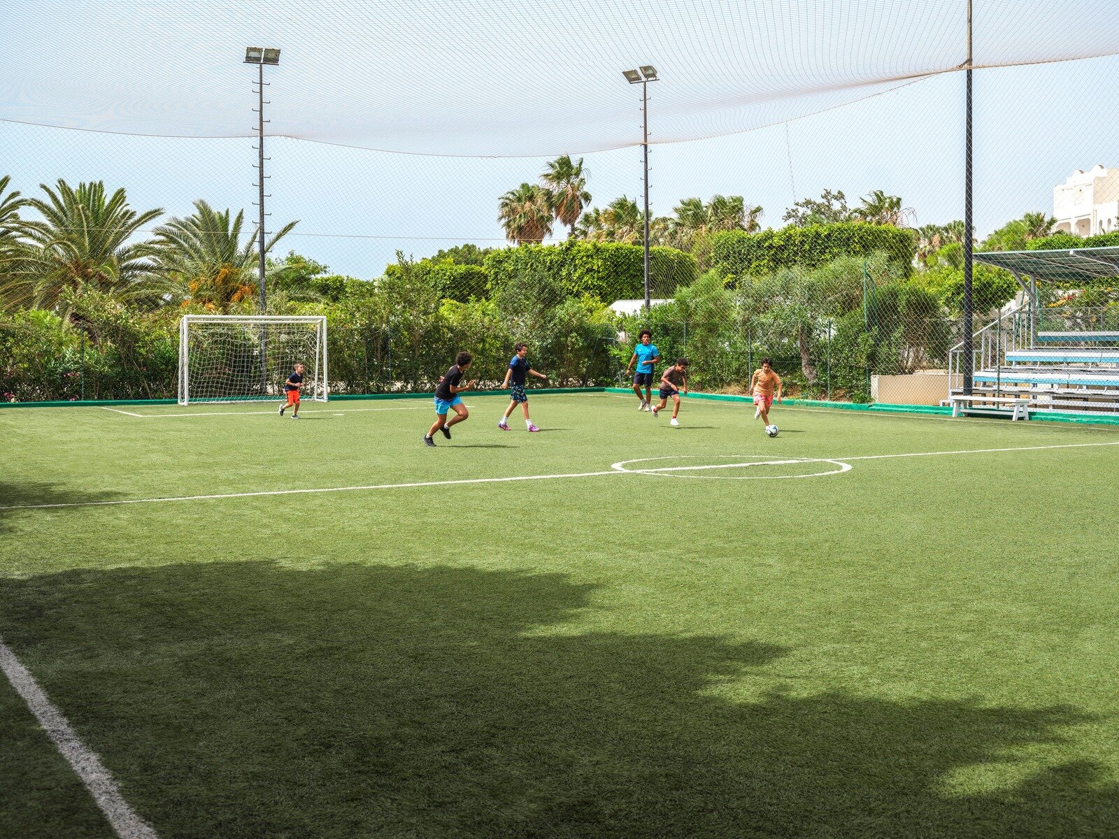 Sport