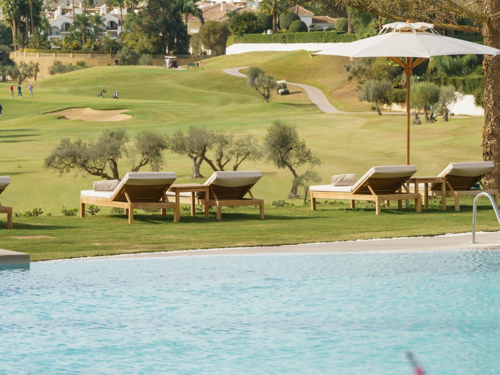 Palmito pool