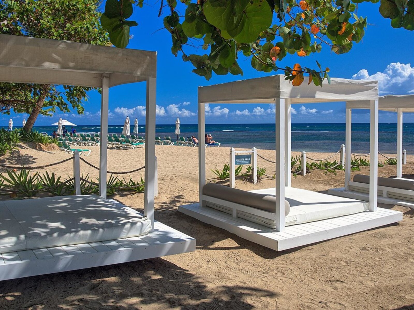 Playa Dorada Beach