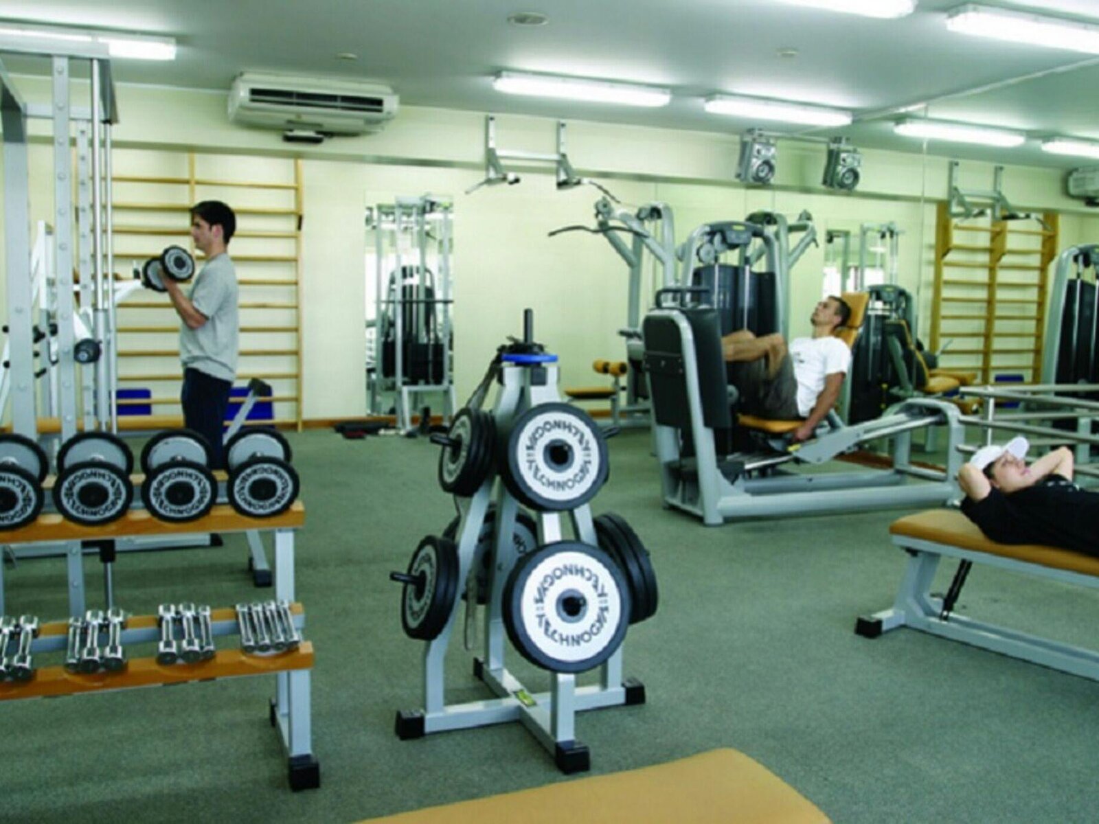 Sport