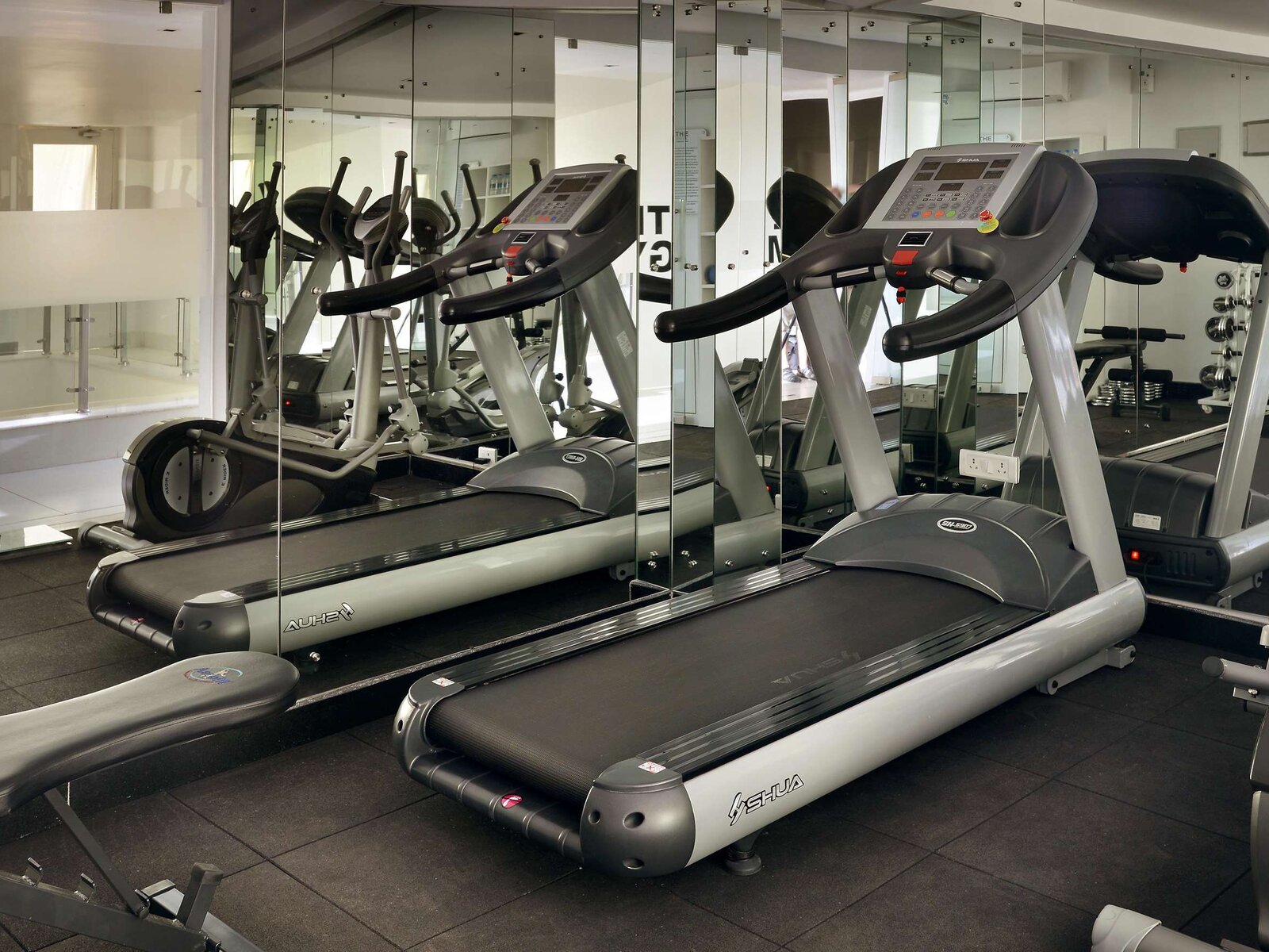 Sport