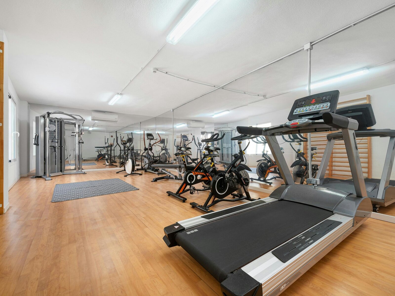 Sport