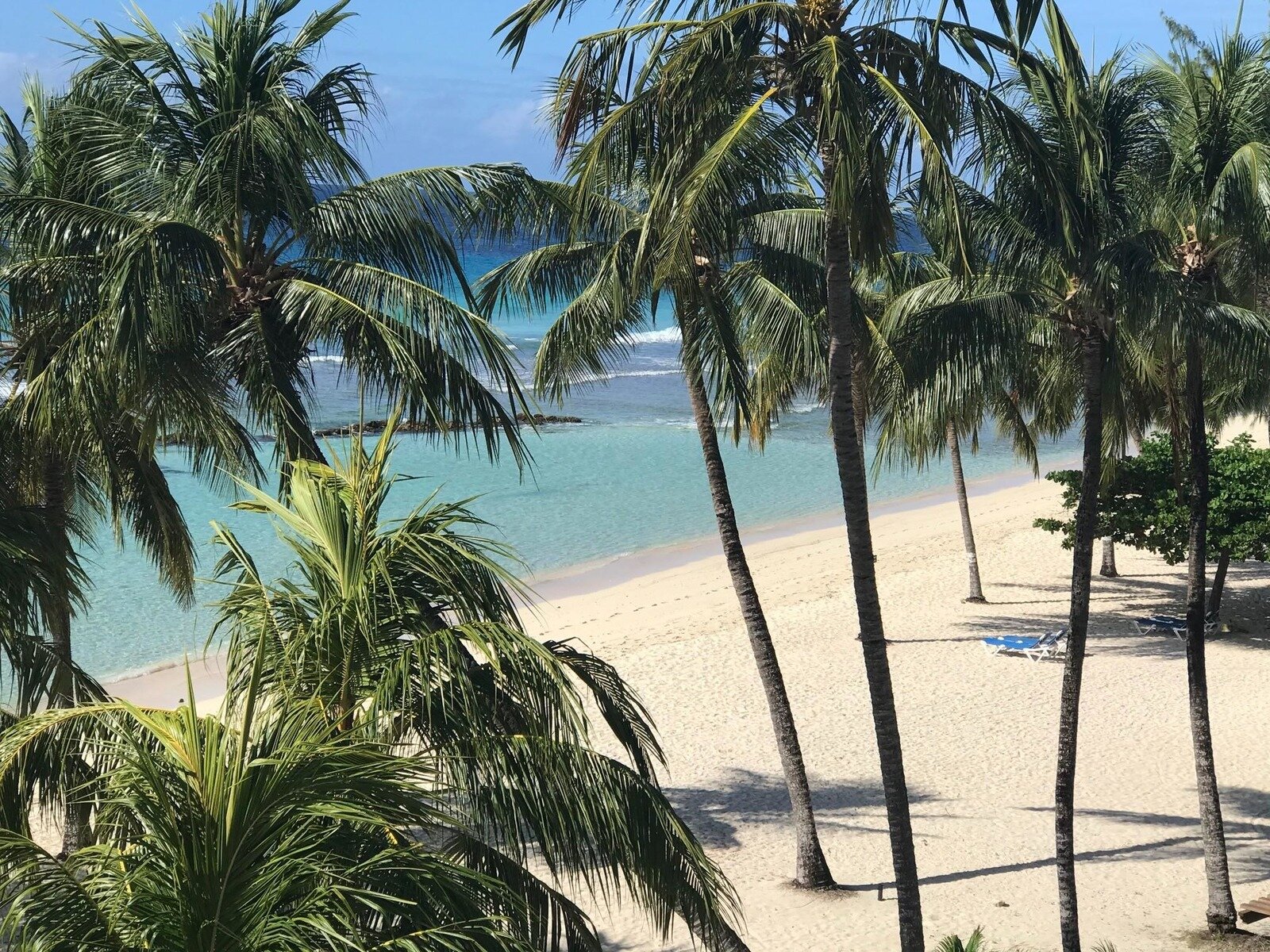 Coconut Court Beach Hotel Beach