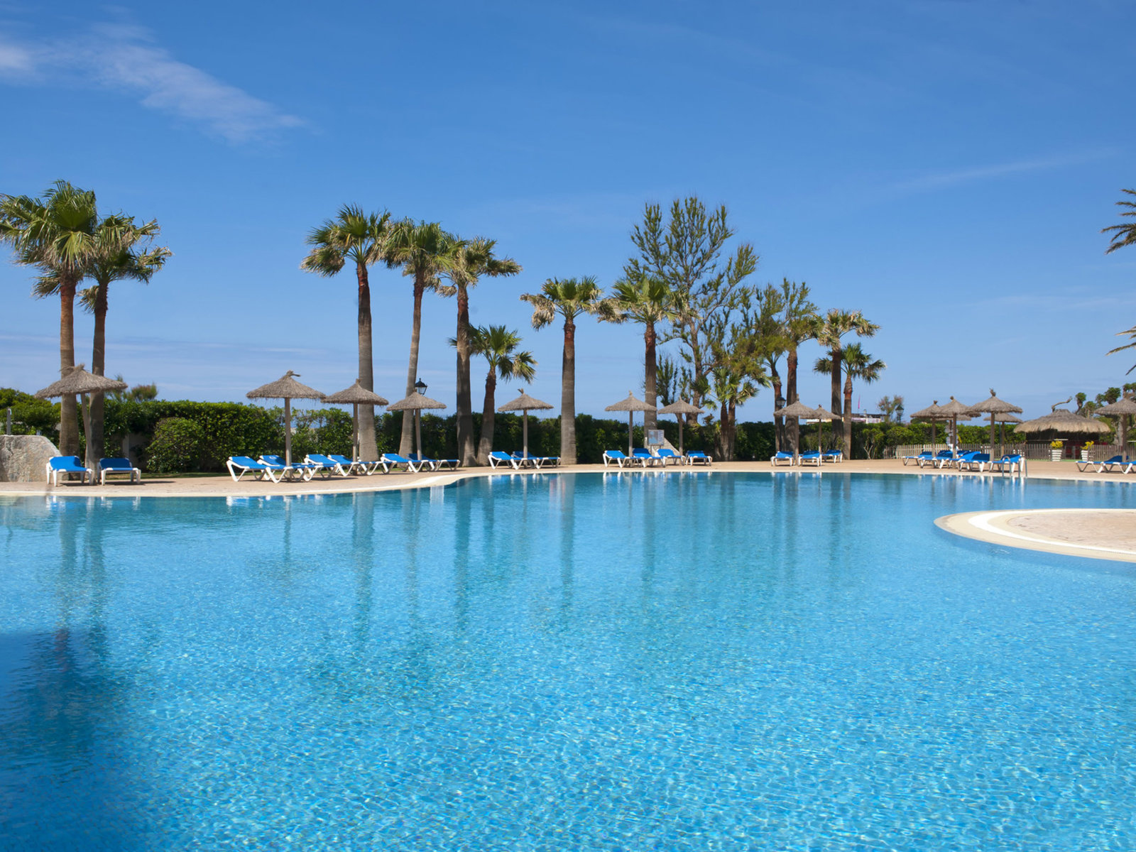 Lagoon style Pool