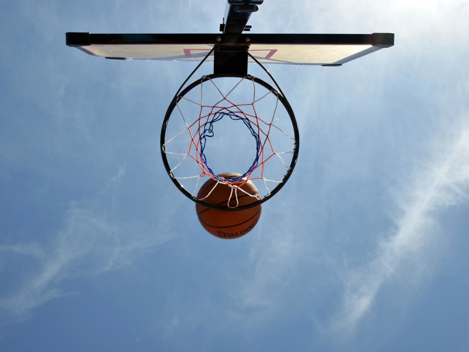 Sport