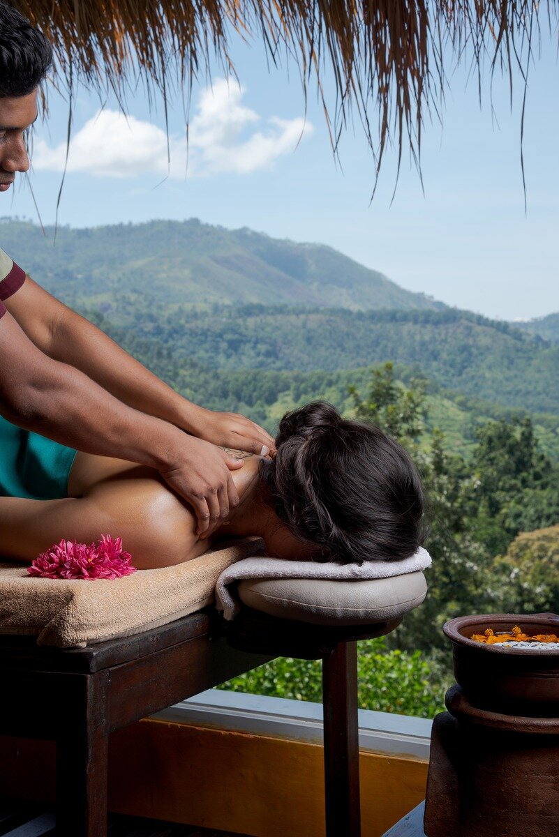 Wellness